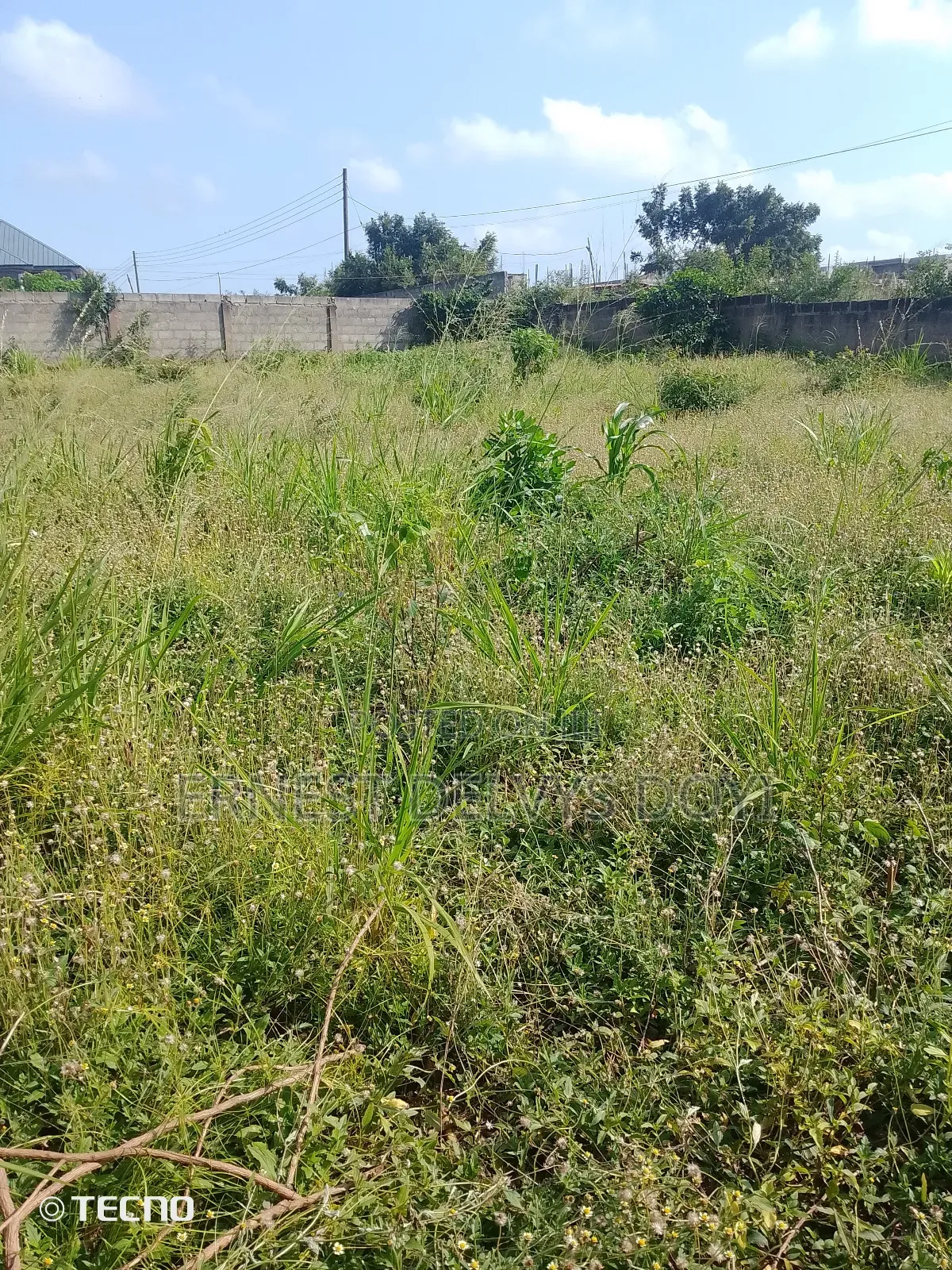 2 Plots of Titled Land at Oyarifa - Focus