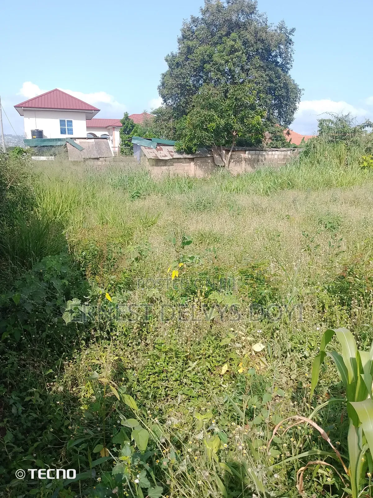 2 Plots of Titled Land at Oyarifa - Focus