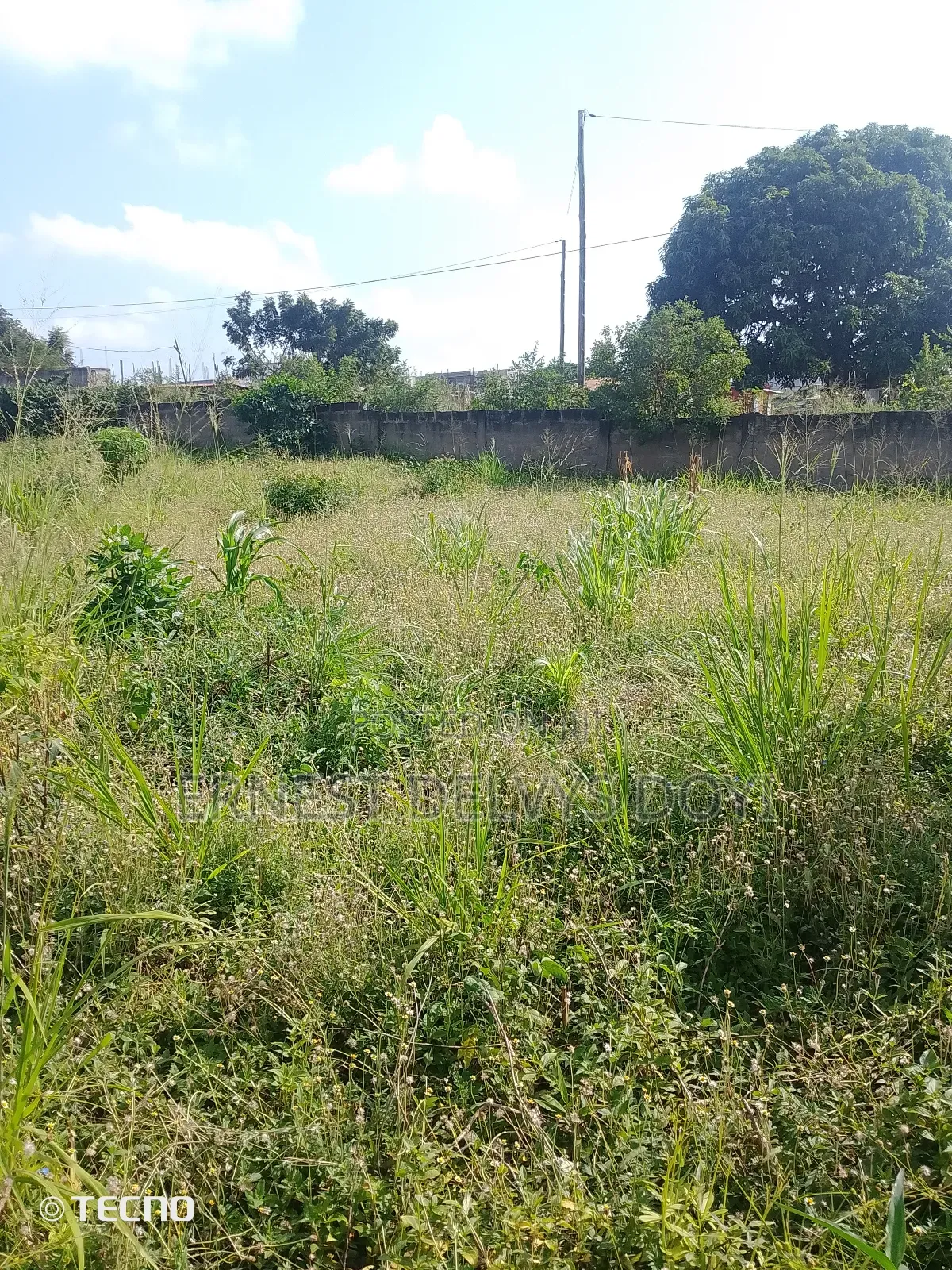 2 Plots of Titled Land at Oyarifa - Focus
