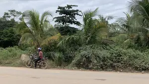 Bypass Road to Estate Commercial Plot
