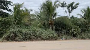 Bypass Road to Estate Commercial Plot