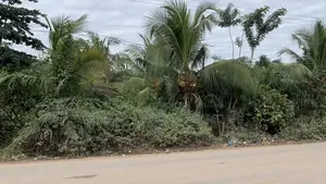 Bypass Road to Estate Commercial Plot