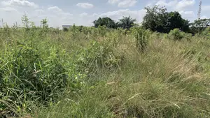 Land for Sale at Oyibi