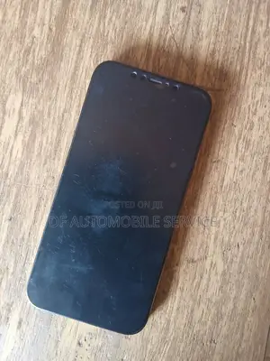Apple iPhone 12 Pro Max 256 GB Gray