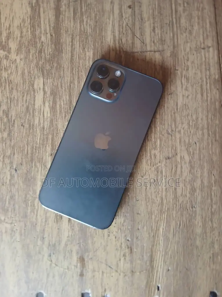 Apple iPhone 12 Pro Max 256 GB Gray