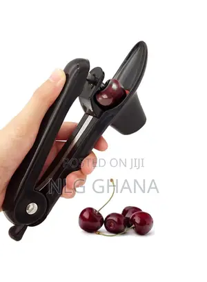 Cherry Pitter Olive Core Remover Tool - Black. Tvx25983