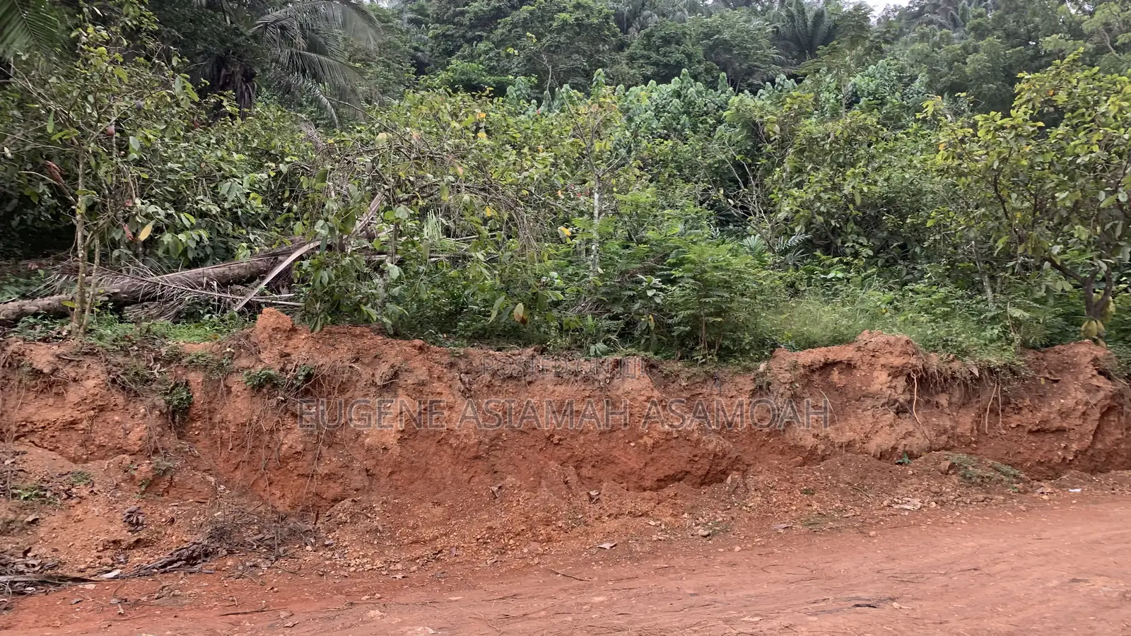 Mossi Valley Plots
