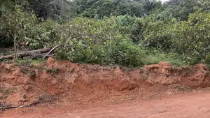 Mossi Valley Plots