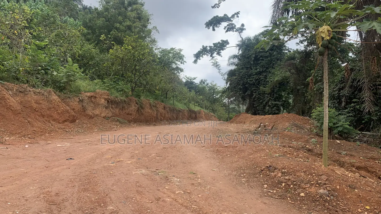 Mossi Valley Plots