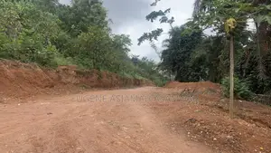 Mossi Valley Plots