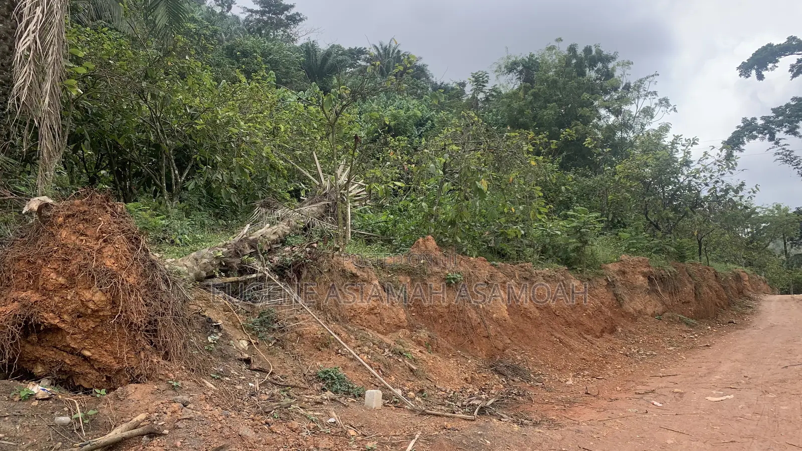 Mossi Valley Plots