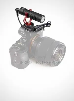 Boya Universal Microphone