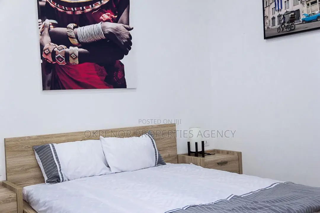 Furnished Studio Apartment in Osu, Nyaniba Estate for rent