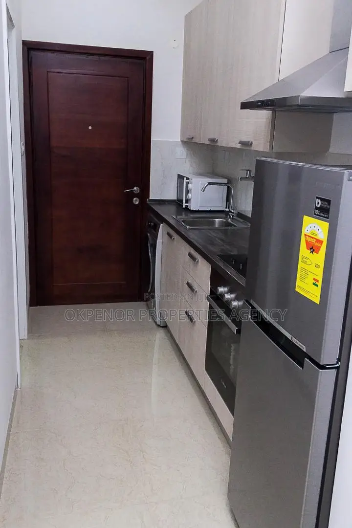 Furnished Studio Apartment in Osu, Nyaniba Estate for rent