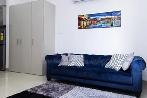 Furnished Studio Apartment in Osu, Nyaniba Estate for rent