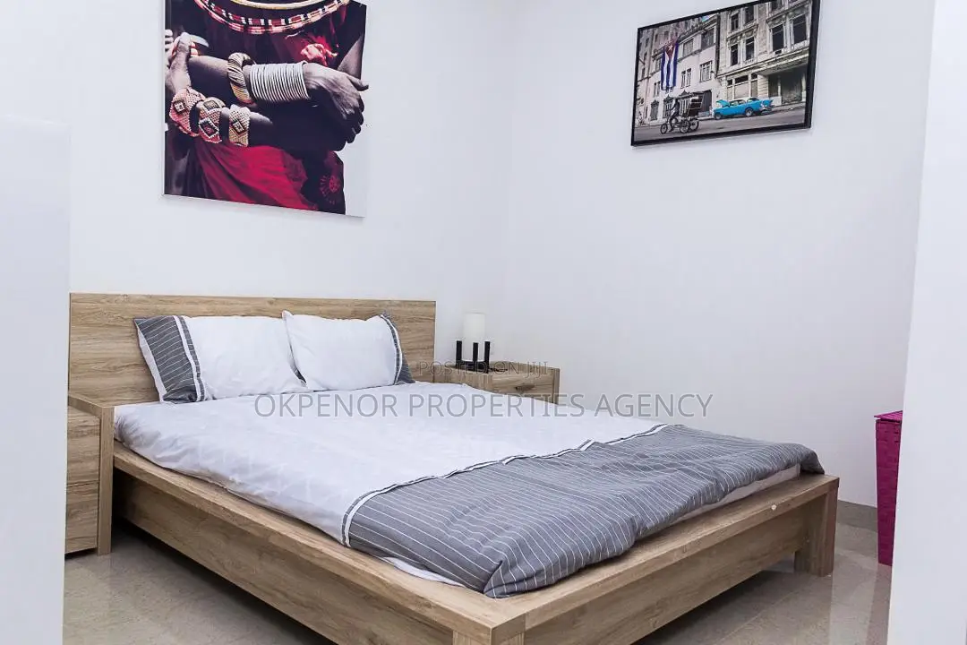 Furnished Studio Apartment in Osu, Nyaniba Estate for rent