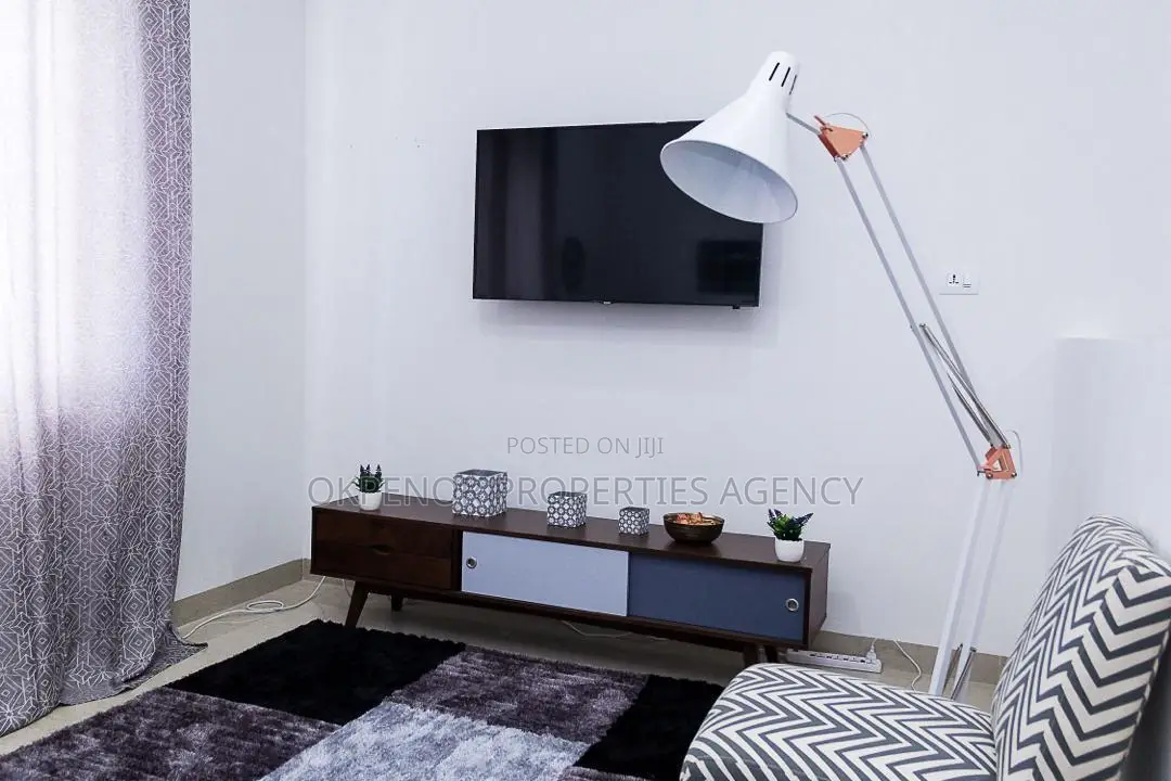 Furnished Studio Apartment in Osu, Nyaniba Estate for rent