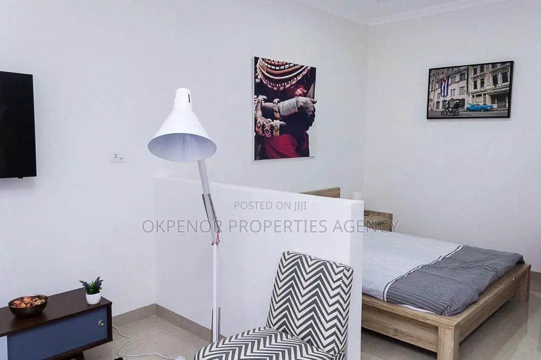 Furnished Studio Apartment in Osu, Nyaniba Estate for rent
