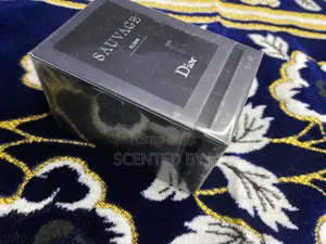 Sauvage Elixir