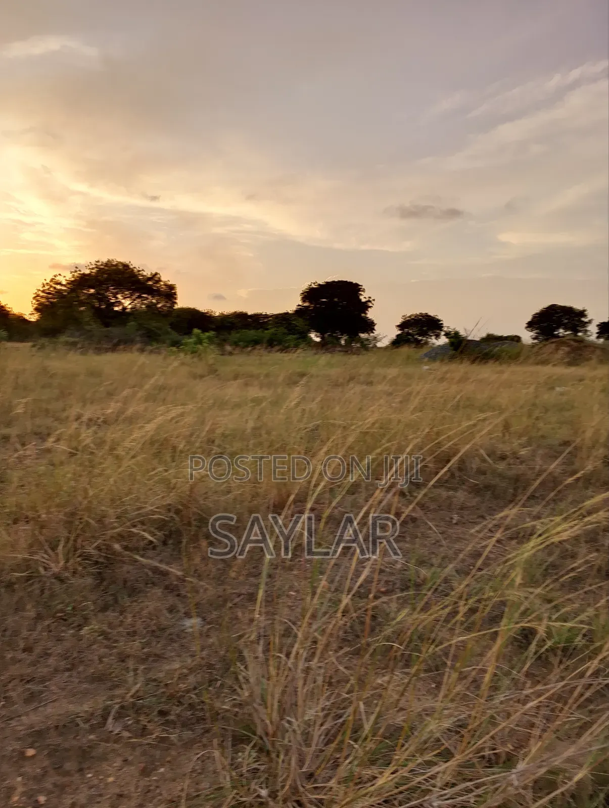 2 Plots for Hot Sale Sakomono Celebrity Golf Course Area