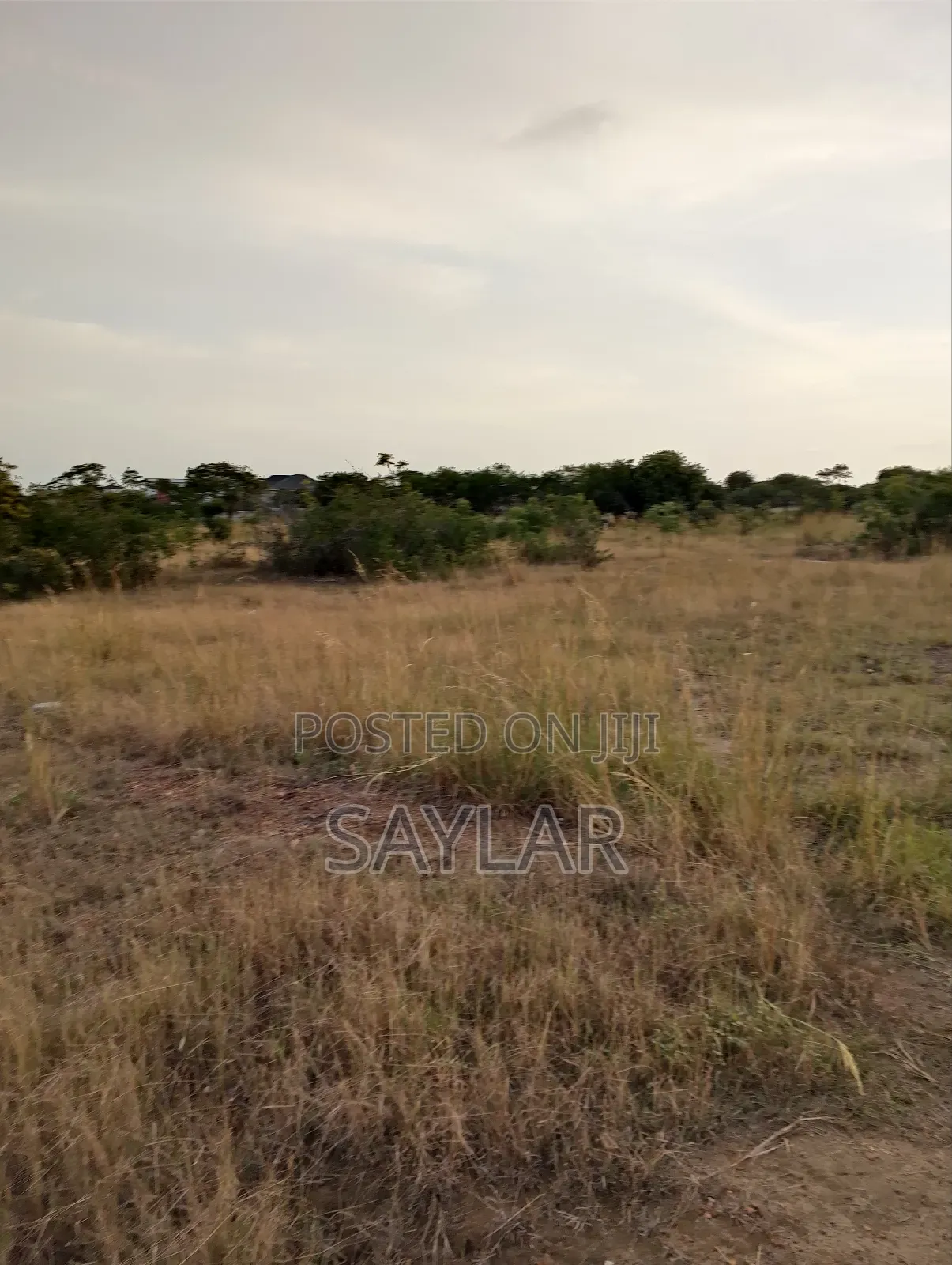 2 Plots for Hot Sale Sakomono Celebrity Golf Course Area
