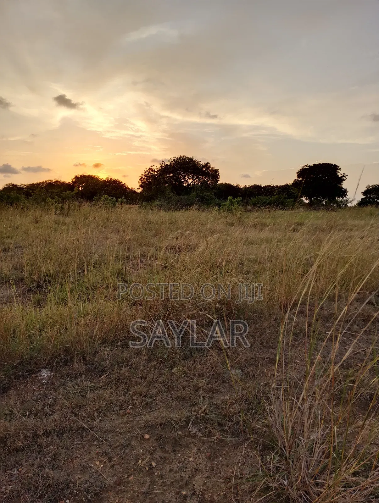 2 Plots for Hot Sale Sakomono Celebrity Golf Course Area