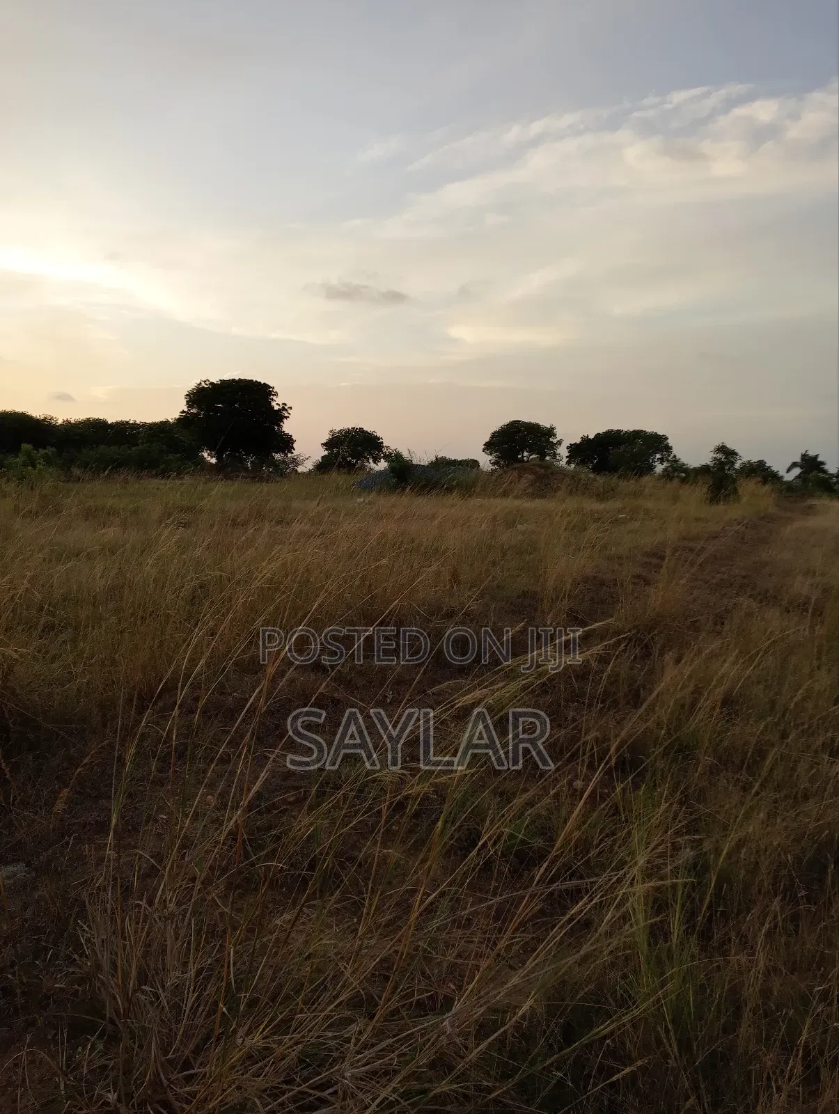2 Plots for Hot Sale Sakomono Celebrity Golf Course Area