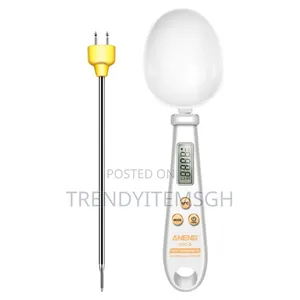 2 In 1 Probe Spoon Food Thermometer