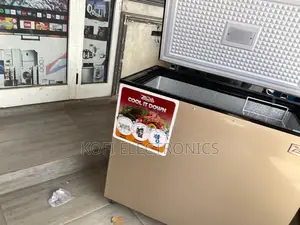 The Home's Cold Vindicator, 238l Zara Freezer