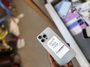 Apple iPhone 15 Pro Max 256 GB Gray