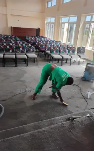 Professional Fix Carpet Cleaners! Keep It Nicer