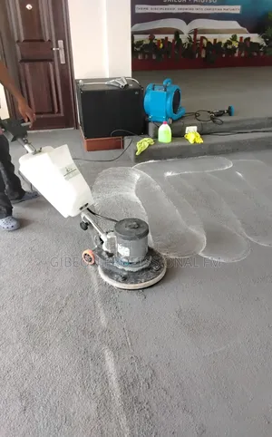 Professional Fix Carpet Cleaners! Keep It Nicer