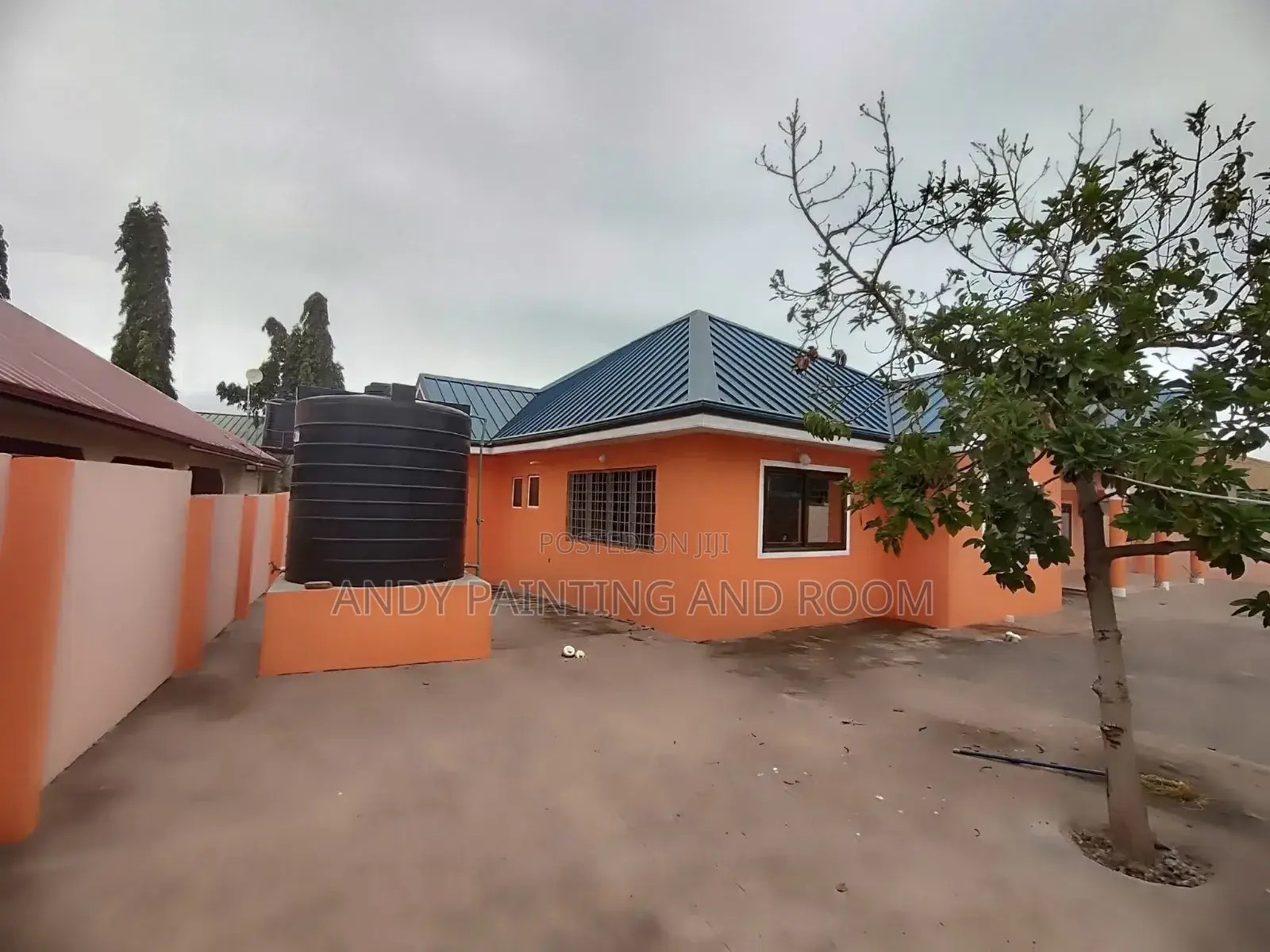 Domestic House Painting Service