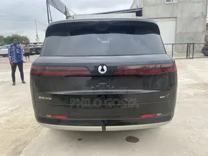 New Denza N9 2.0 Hybrid AWD 2025 Black