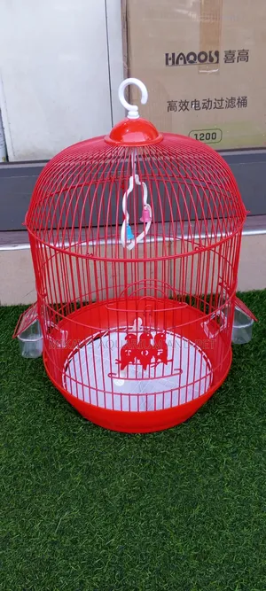 Portable Medium Bird Cage for Travelling