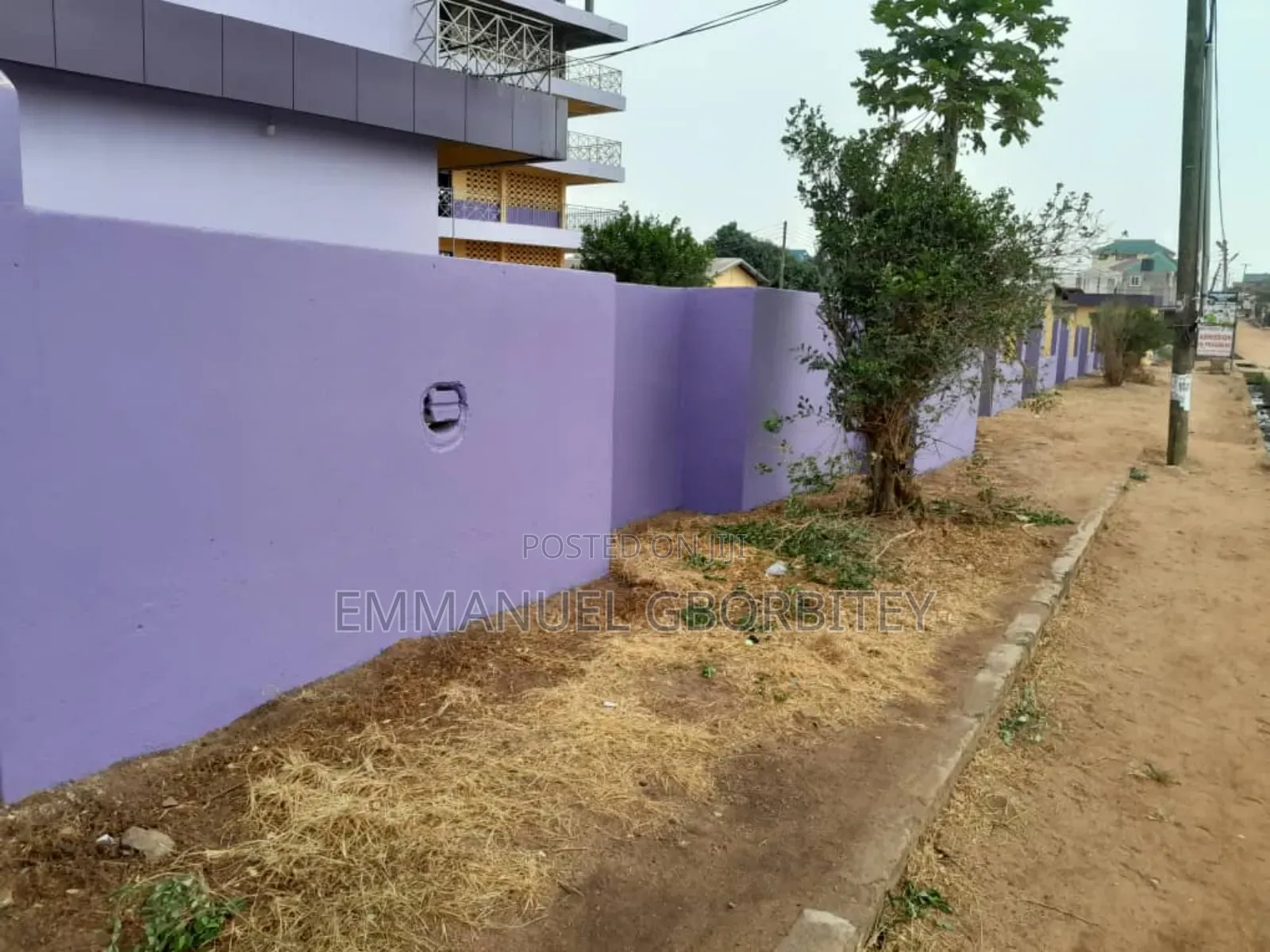 Professional Painting Services