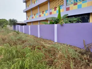 Professional Painting Services