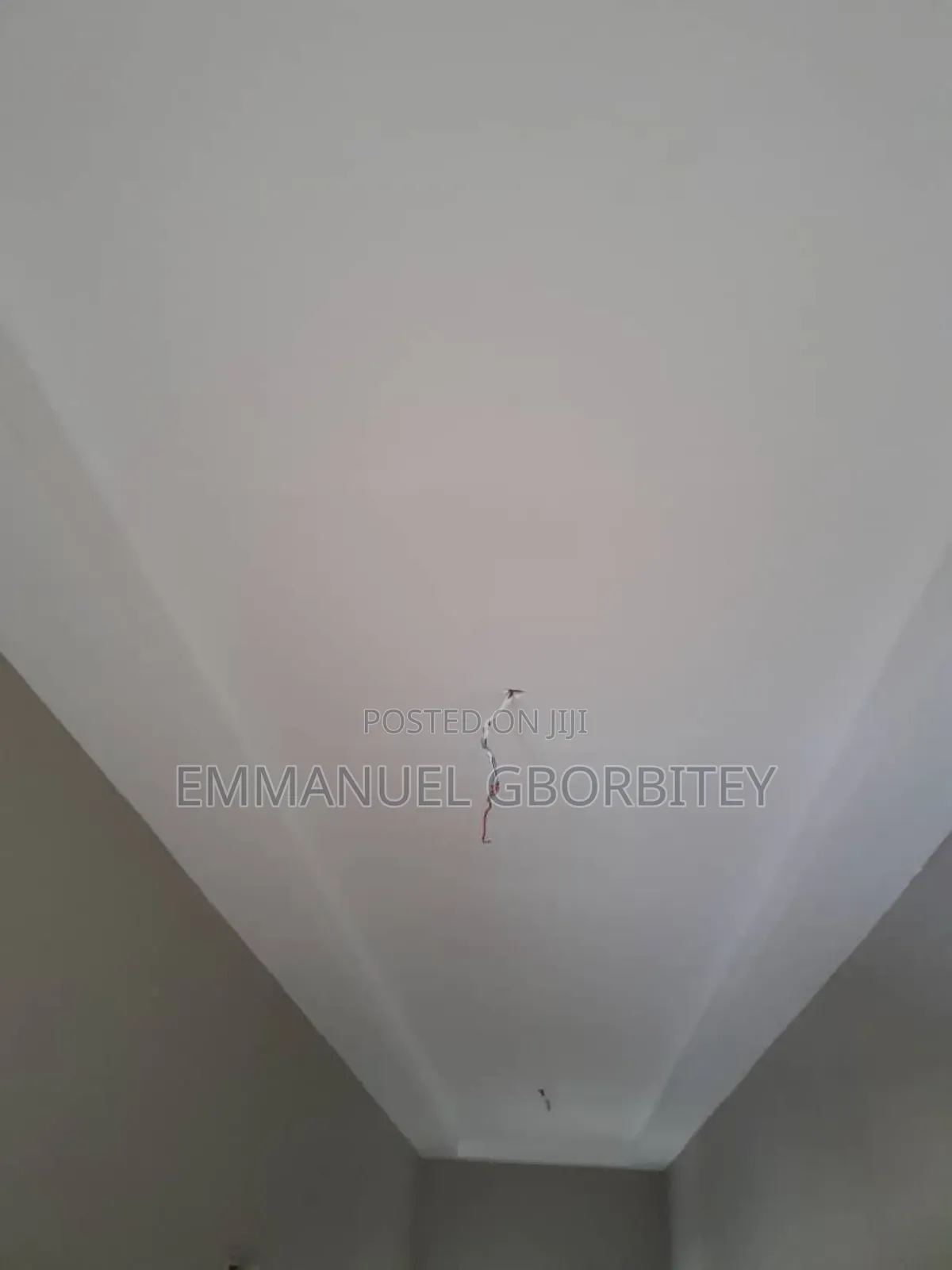 Professional Painting Services