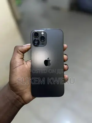 Apple iPhone 12 Pro Max 256 GB Black