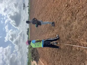 Borehole Drilling