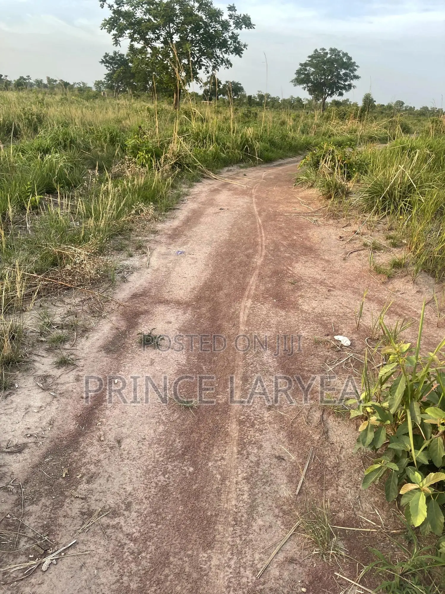 70 Acres of Farmland in Kintampo for Sale