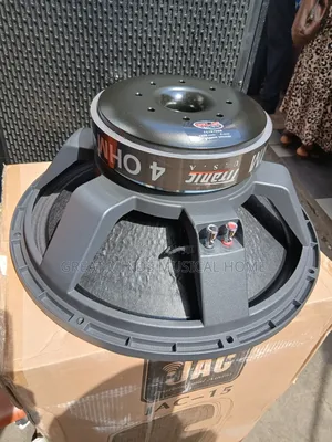 GLS Titanic 2000 Watts 18" Naked Speakers