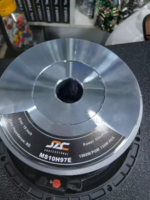 Jac 10 Inches Double Magnet Naked Speaker