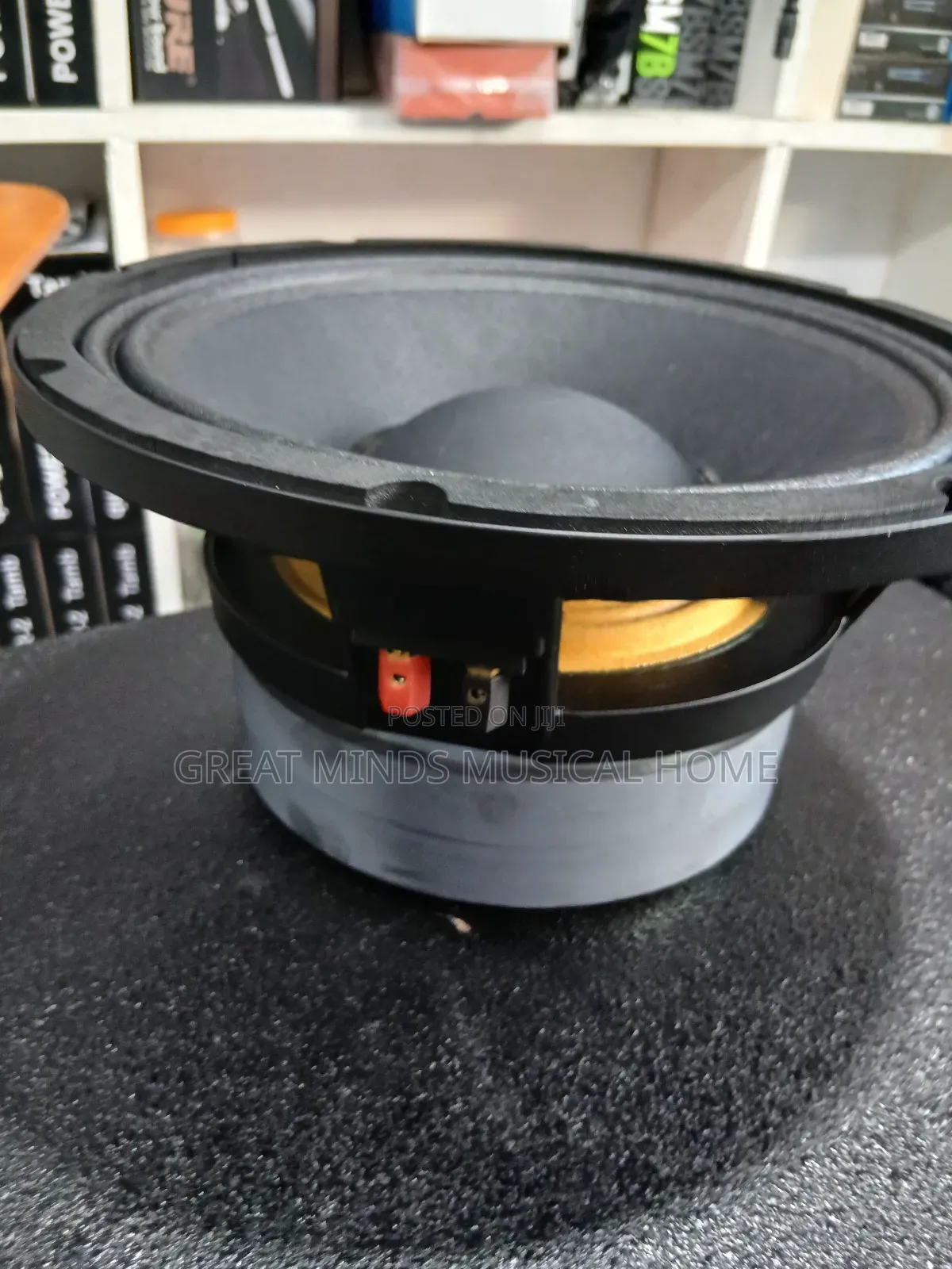 Jac 10 Inches Double Magnet Naked Speaker