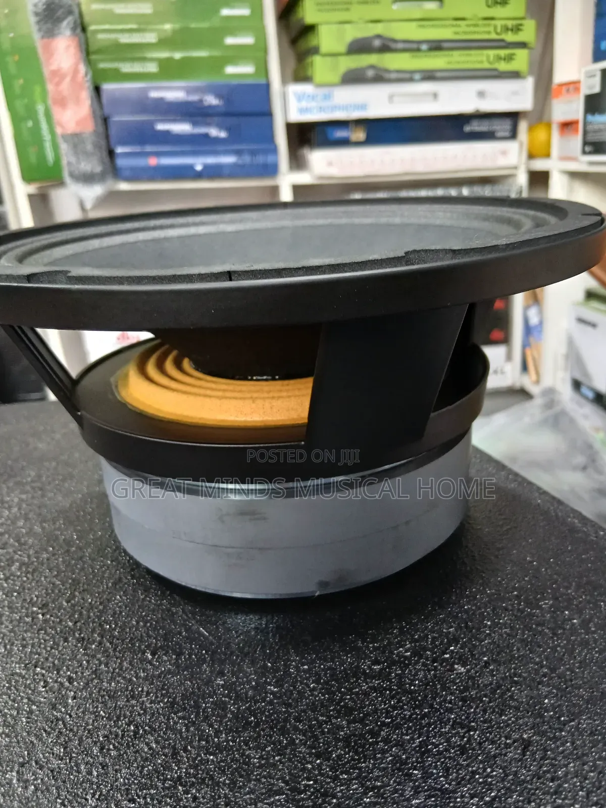 Jac 10 Inches Double Magnet Naked Speaker
