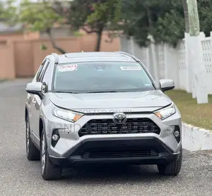 Toyota RAV4 XLE Premium AWD 2020 Silver