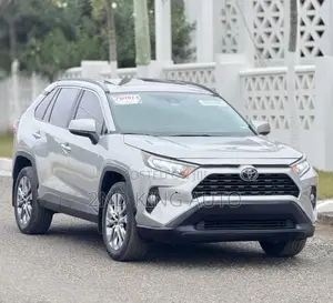 Toyota RAV4 XLE Premium AWD 2020 Silver
