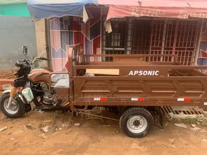 New Apsonic AP150ZH-200 2024 Gold
