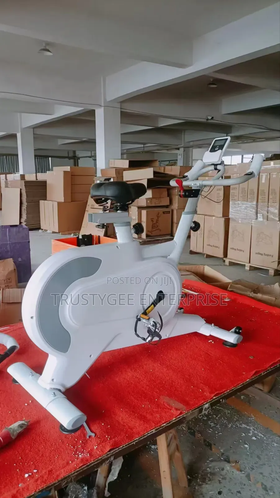 Jican Exercise/Spinning Bike