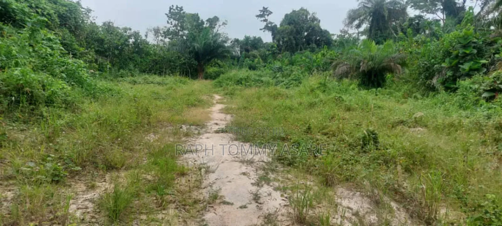 One Acre Farm Land for Sale